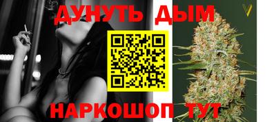 шишки Будённовск