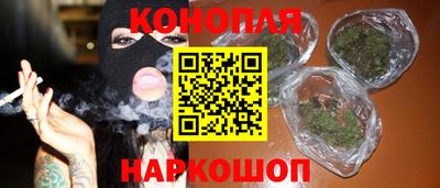 шишки Будённовск