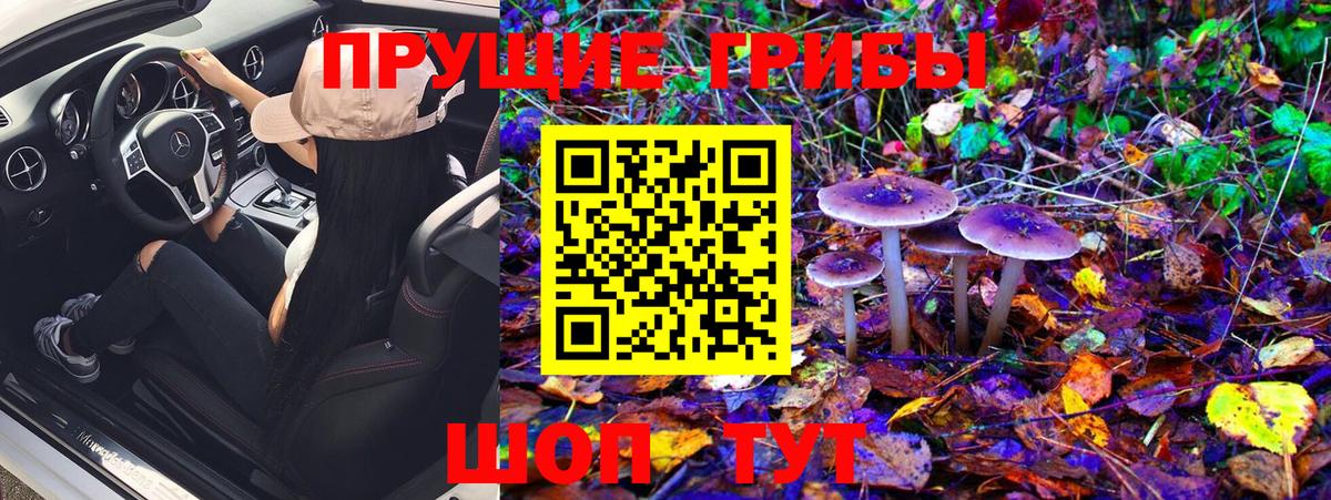 Псилоцибиновые грибы Magic Shrooms  Галлюциногенные грибы мухоморы  купить закладку  Вход с VPN  Люберцы 